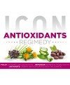 Icon Pack Antioxidant Fully - Infusion - Antidote PACKS PELUQUERIA